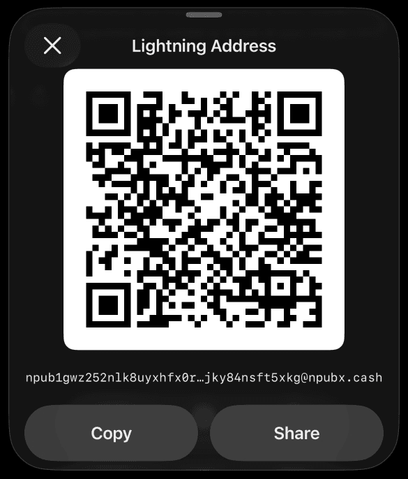 Bottom sheet showing a Lightning Address QR code with Copy and Share actions
