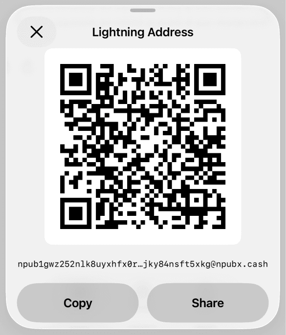 Bottom sheet showing a Lightning Address QR code with Copy and Share actions